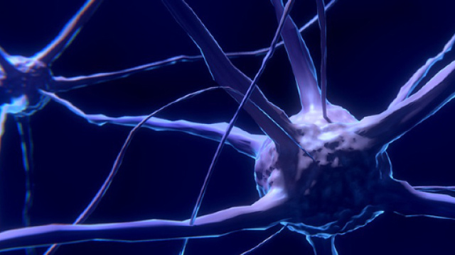 Molecola della felicit&agrave;: &egrave; stato individuato il meccanismo che regola il funzionamento della serotonina