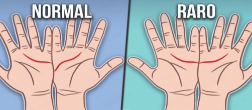 As linhas das m&atilde;os podem revelar mais sobre a personalidade das pessoas