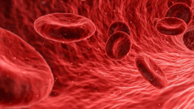 Scoperto test del sangue che individua il cancro al polmone
