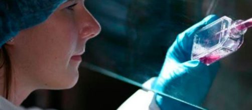 Asesor&iacute;as Acad&eacute;micas Milton Ochoa - Mol&eacute;cula de las c&eacute;lulas madre ... - com.co