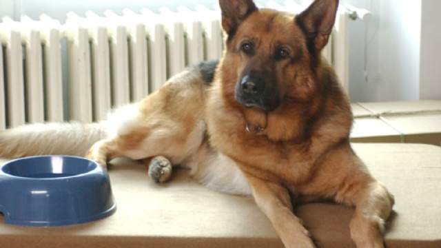 Casting per un film contro il femminicidio e altre notizie