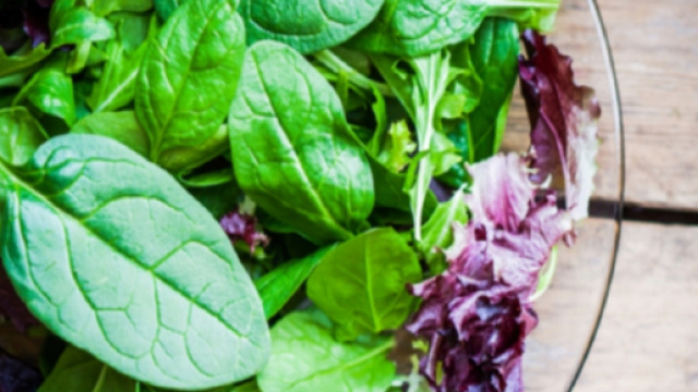 Allarme per un lotto di insalate miste contaminate da salmonella