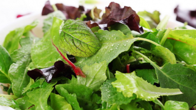 Allerta salmonella nella insalata italiana: di cosa si tratta
