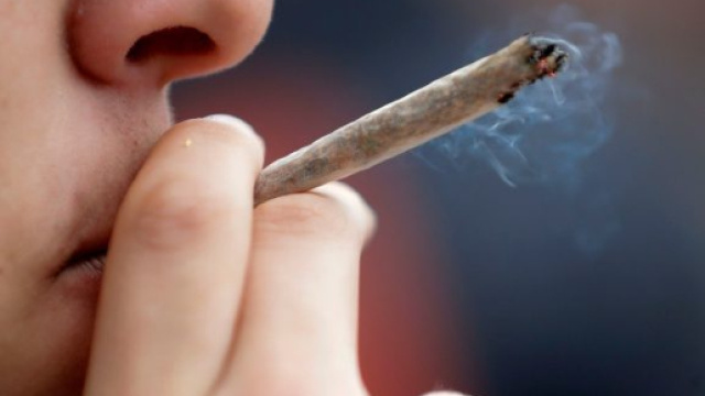 L'Italia ai primi posti in Europa per il consumo di cannabis e cocaina