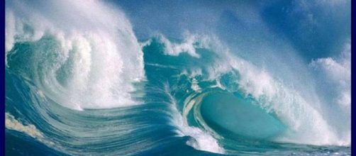 El 8 de junio El celebra el D&iacute;a Internacional de los Oc&eacute;anos