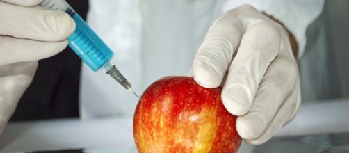 Los alimentos transg&eacute;nicos: ventajas e incovenientes