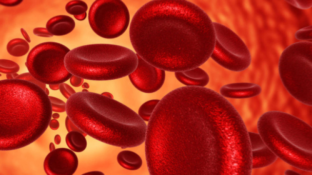 E' pronto l'atlante delle proteine del sangue