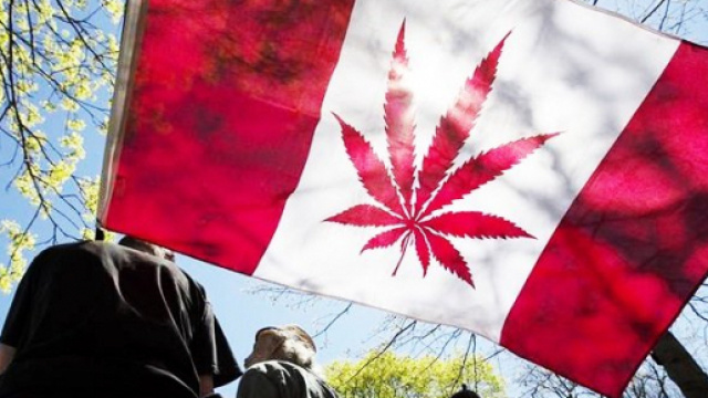 Senato del Canada approva legge sulla legalizzazione della marijuana