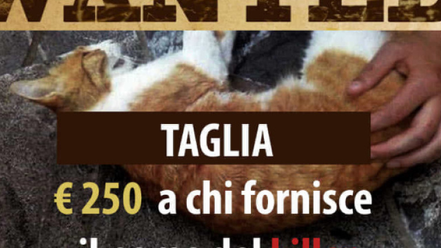 Moggio Udinese, bimba trova il suo gattino ucciso da una fucilata