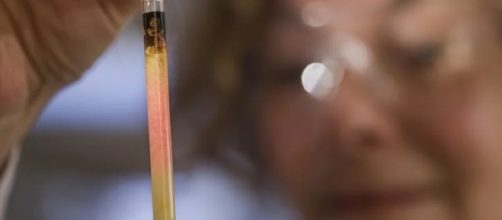 Cient&iacute;ficos descubren el color m&aacute;s antiguo del mundo, el rosa brillante