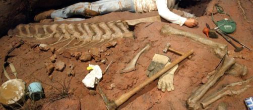 Paleont&oacute;logos argentinos hallan el primer dinosaurio gigante que habit&oacute; el planeta