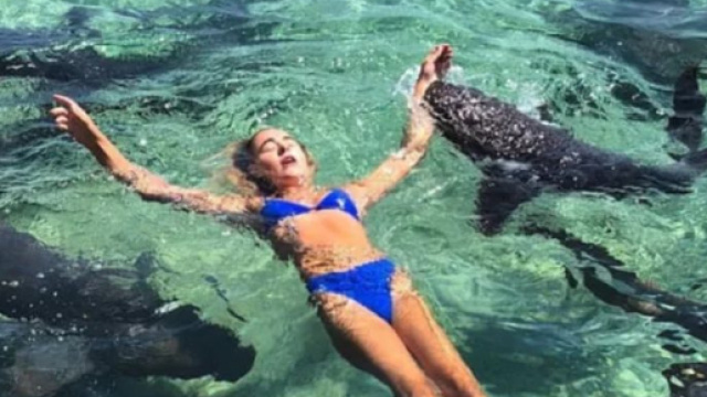 Un pericoloso squalo ha atteccato una donna intenta a farsi una foto da mettere su Instagram