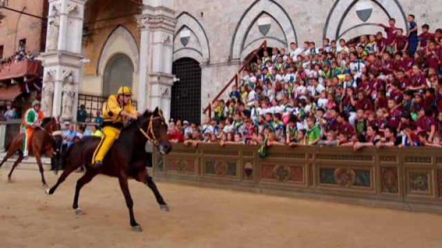 Palio dell'Assunta del 16 agosto: diretta Raidue, Raiplay e streaming su ilpalio.org.