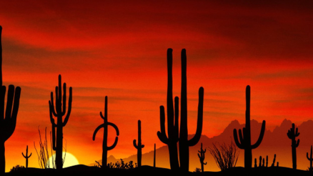 Ondata di caldo eccezionale nel deserto del Sahara.