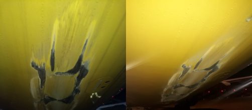 ARGENTINA / Avi&oacute;n de la empresa Flybondi no pudo despegar por un golpe de cola