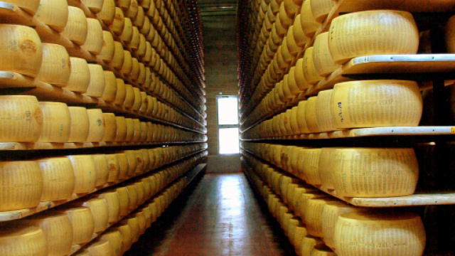 Parmigiano o Piacentino? La vera storia delle forme di formaggio ... - ilsole24ore.com