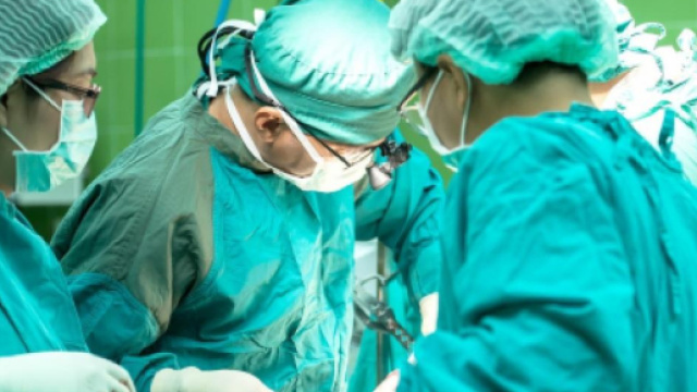 Rimini, maestra stroncata da leucemia fulminante.