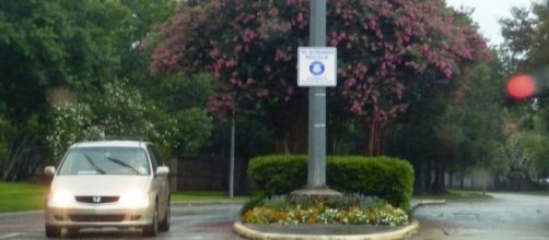 Image Source: BFS Man - Flickr