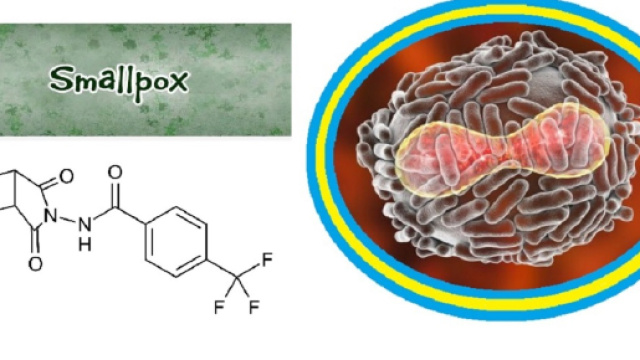 La FDA ha approvato Tpoxx, un nuovo farmaco efficace contro il vaiolo, utile in casi di attacchi terroristici con armi biologiche.