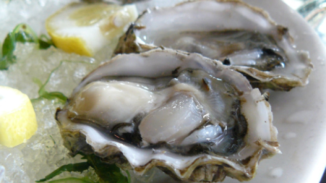 Mangia ostriche e muore, la causa un batterio carnivoro