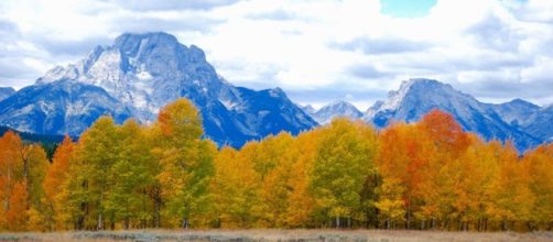 Top 9 last-minute summer vavactions - Image credit - TXVisual | Picabay | CCO Creative Commons