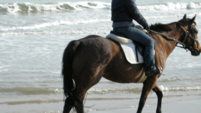 Ivrea, passeggia a cavallo, ma &egrave; ubriaco: denunciato per guida in stato di ebbrezza