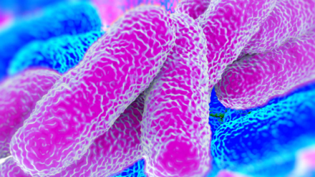 Legionella aumenta nel milanese