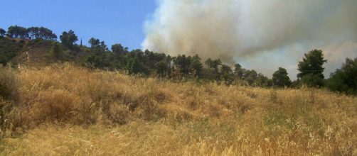 Wildfire of 2007 in northern Achaea, Peloponnese, Greece (Image courtesy - Guillaume Piolle, Wikimedia Commons)