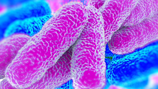 La legionella fa 3 vittime a Bresso. Molti i malati ricoverati.