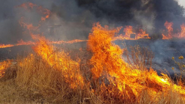 Campagna antincendi tra luci e ombre, in Sicilia pi&ugrave; fondi ma ... - gds.it