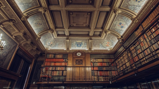 Selezione archivista, bibliotecario e funzionario culturale.