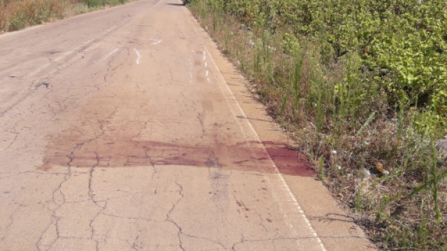 Ucciso con un colpo alla testa a Melissano