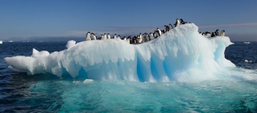 Ola de Calor en los Pa&iacute;ses Fr&iacute;os del Polo Norte