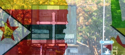 Zimbabwe face difficult choices in elections - Image credit - collage CCO Creative Commons and J Flowers