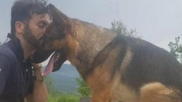 Avvelenato il cane Kaos, il padrone: 'Aveva il dono di salvare le vite'