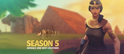 Animals could come to 'Fortnite Battle Royale' next season. - [Asmir Pekmic / Original Image]