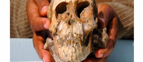 Los huesos de la ni&ntilde;a 'Selam' sugieren nuevos h&aacute;bitos en el Australopithecus