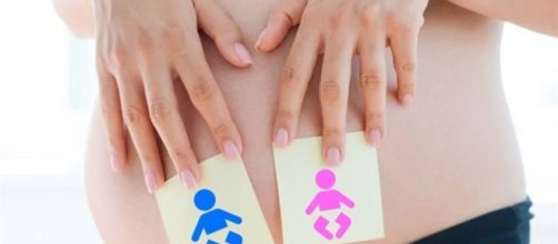 El Gobierno recupera la reproducci&oacute;n asistida p&uacute;blica para mujeres lesbianas y sin pareja