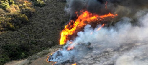 Wildfire raging in California (Image courtesy - Tyler C. Gregory, Wikimedia Commons)