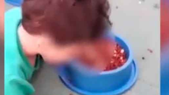 In Brasile madre costringe il figlio di 2 anni a mangiare il cibo del cane