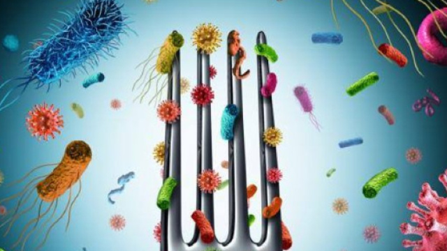 Listeria, ritirati minestroni surgelati