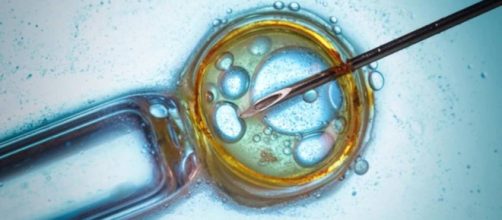 Mujeres lesbianas y sin pareja pueden optar de nuevo por la reproducci&oacute;n asistida p&uacute;blica