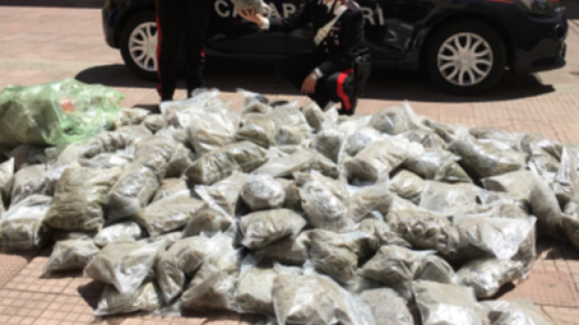 Maxi sequestro di droga, arrestati due coniugi | Soverato Web.Com - soveratoweb.com