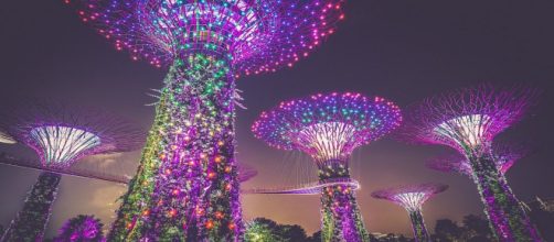 Vertical gardens, such as the ones depicted in Singapore, reduce air pollution. - [Free-Photos / Pixabay]
