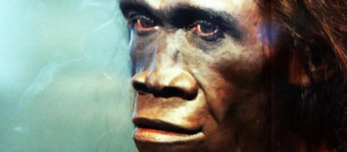 Estudio revel&oacute; que una de las causas de la extinci&oacute;n del Homo erectus fue la pereza
