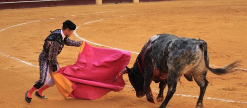 Juan Carlos en los toros en San Sebasti&aacute;n