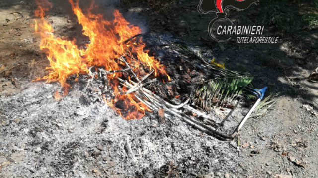 Roghi illegali di rifiuti: denunciato un 64enne nel nolano