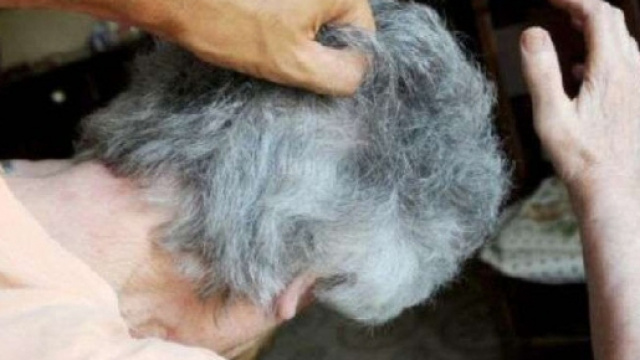 Cittadella violenza sulla madre novantunenne