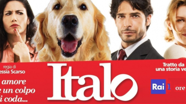 Stasera in TV: Italo, il film tratto sulla storia vera di un randagio che ha conquistato la Sicilia