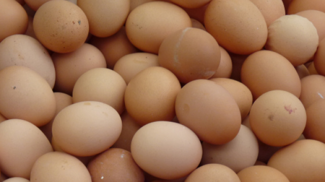 15 uova nel retto, 29enne finisce in ospedale dopo un gioco erotico